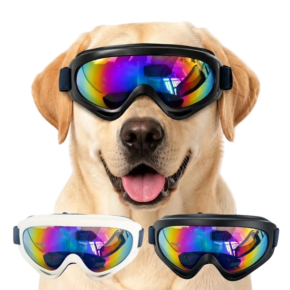 Pet sunglasses for dog eye protection during outdoor activities