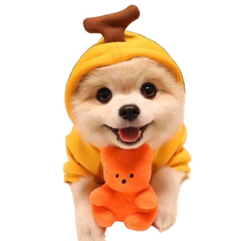 Playful fruit-themed dog sweater featuring cute designs for small pets.