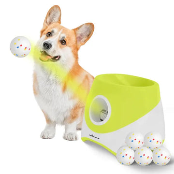 Automatic rechargeable dog ball launcher designed for interactive fetch with small and medium dogs.