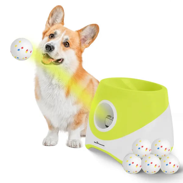 Automatic rechargeable dog ball launcher designed for interactive fetch with small and medium dogs.