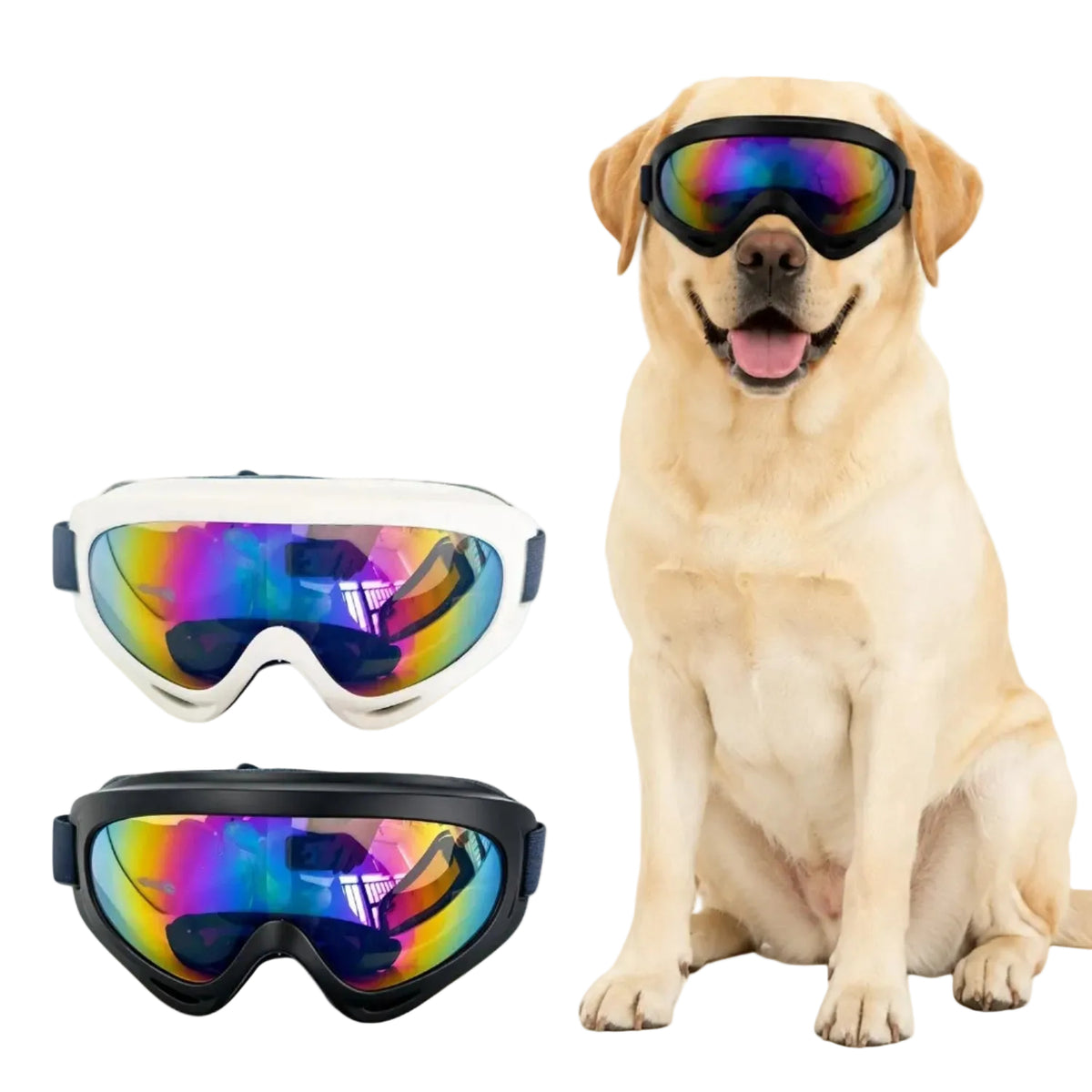 small-dog-windproof-sunglasses