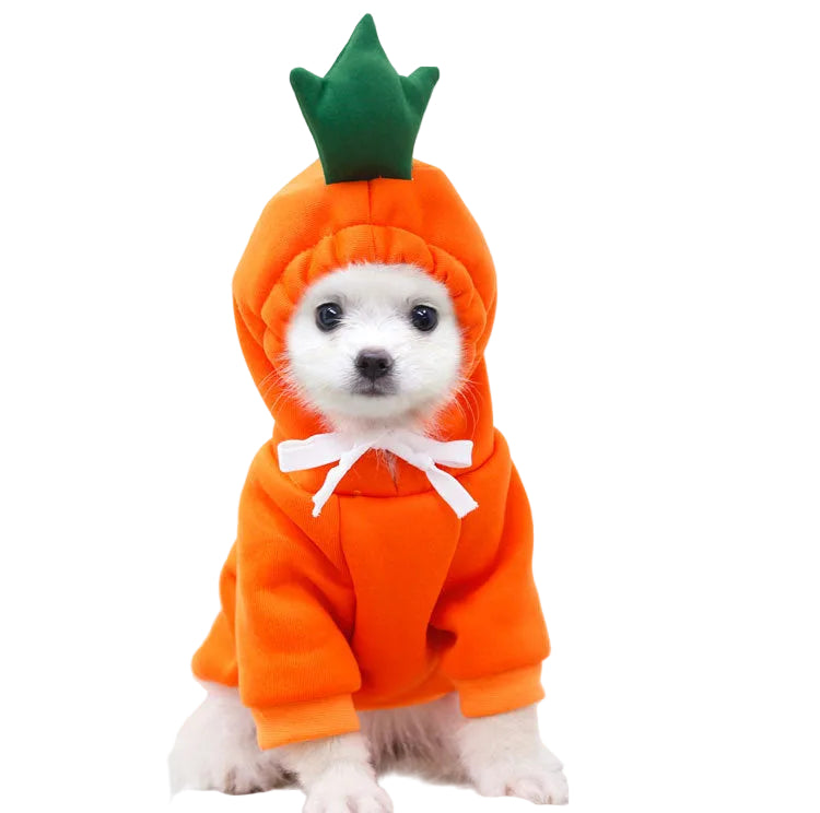 Warm dog winter hoodie made from soft fabric for comfortable wear on chilly days.